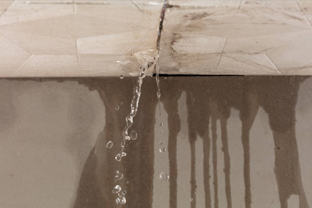 Professional Burst Pipe Cleanup technician working in Feeding Hills, MA